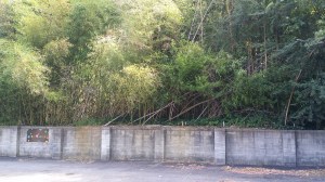 Caswell-Washington Cemetery, Kinson NC 7.31 (1)